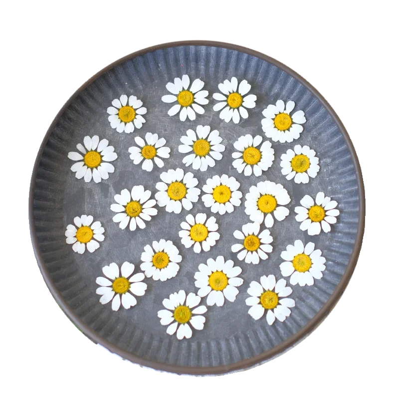 1-2cm/24pcs,Pressed real Chamomile petals,dried flower DIY adhesive jewelry wedding party bookmark gift card flower petal makeup