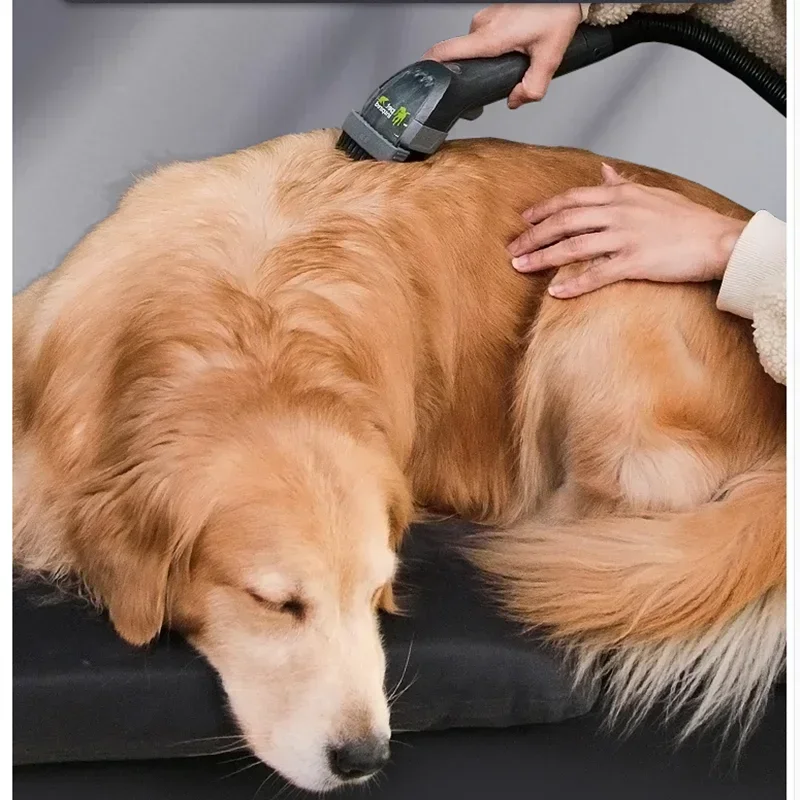 Bissell-máquina de limpieza de sofás de tela, succión por pulverización integrada, artefacto de limpieza de alfombras para el hogar, aspiradora, limpieza de perros