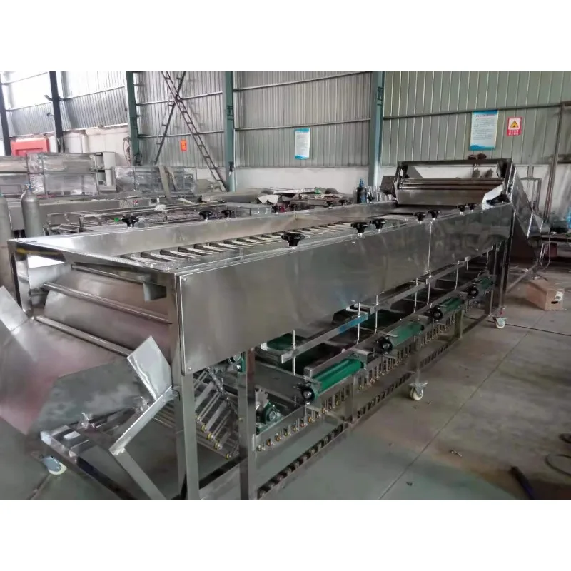 Full Automatic Multi Grade Fruit Sorting Machine Large Capacity Stainless Steel Fruit Size Grading Sorter With Feeding Elevator