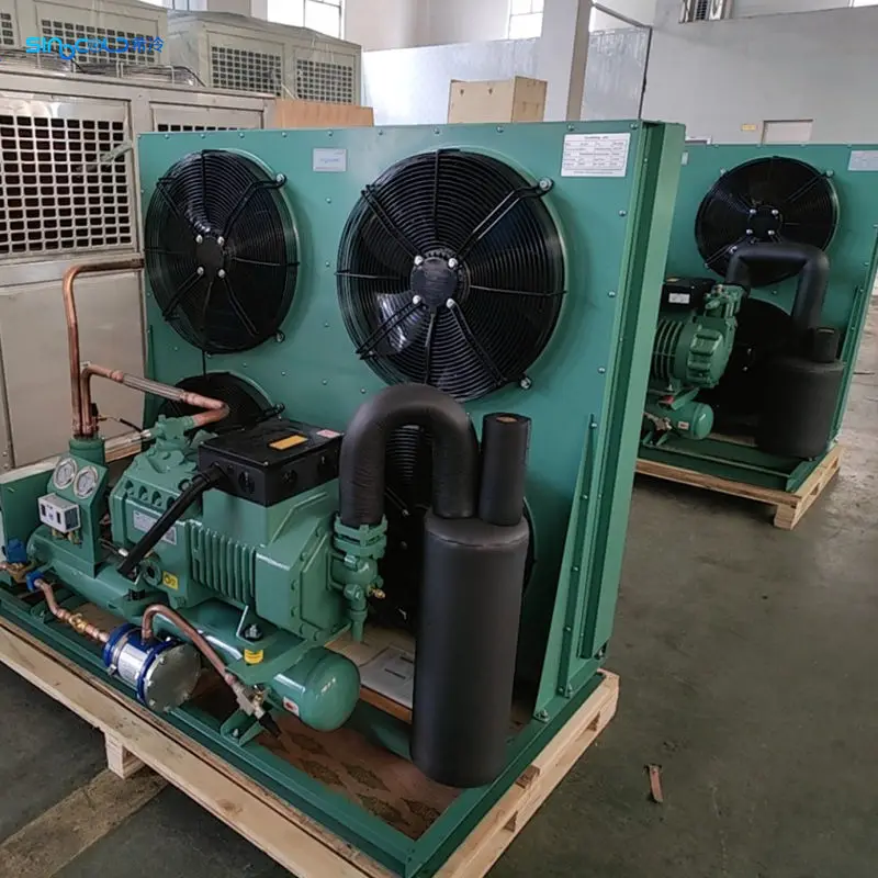 15HP Air Cooled 160 square Meter  Condensing Unit With Reciprocating Compressor 4PES-15Y-20D for Cold Room R404A 3PH/220V/60Hz