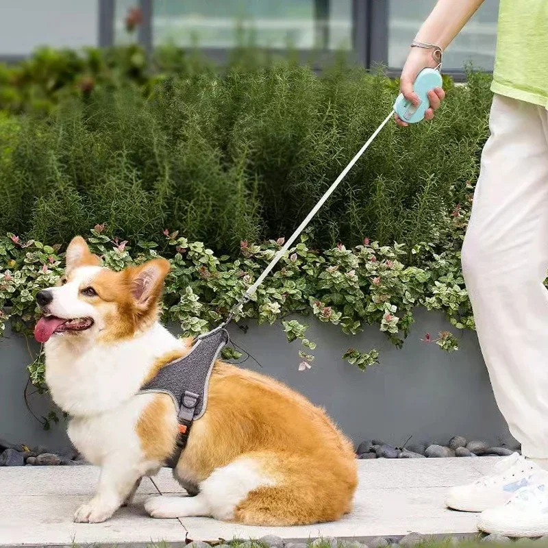 Bezprzewodowy smycz dla dla małych psów koty 360 ° Tangle-Free Duty Wrist Dog smycz 2m odblaskowy Nylon taśma, jeden przycisk hamulca