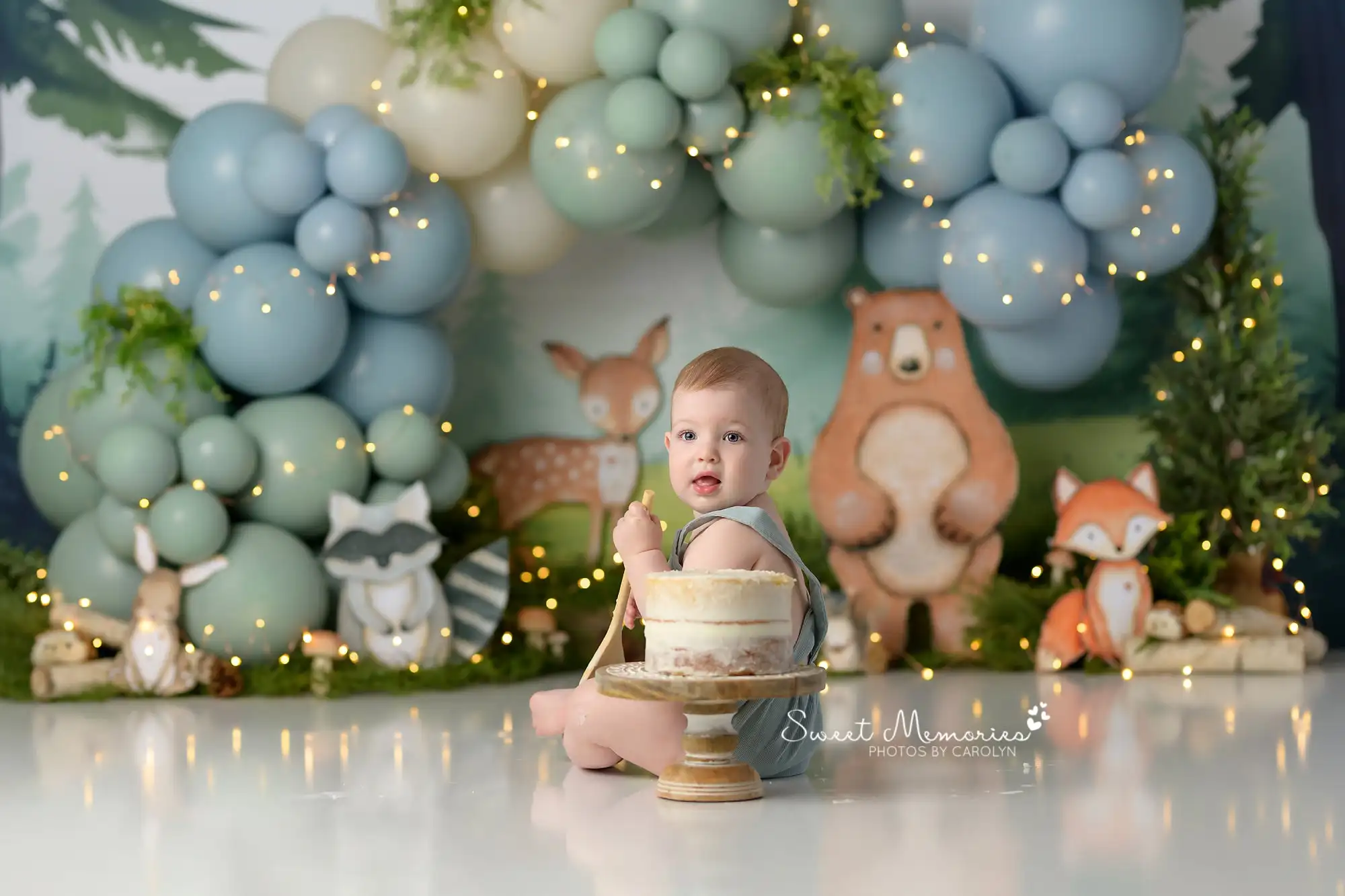 Forest Meadow Backgrounds Cake Smash Kids Adult Photography Props Child Baby Decors Balloon Arch Wild Animal Photo Backdrops