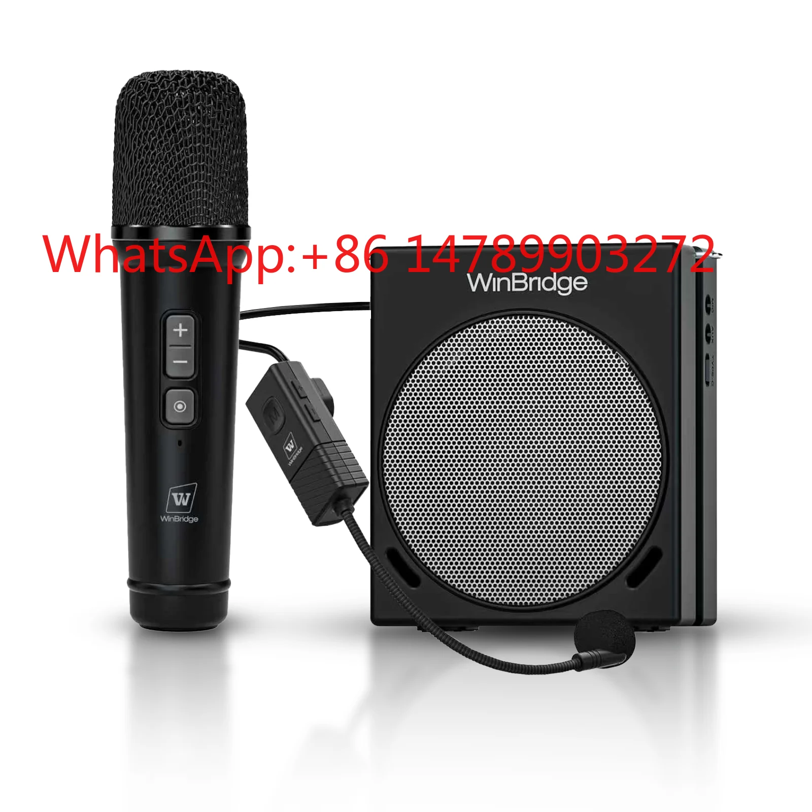 

WinBridge 30W Portable PA Speaker Amplifier with 2 Wireless Handheld Microphones for Outdoor Stage Speech
