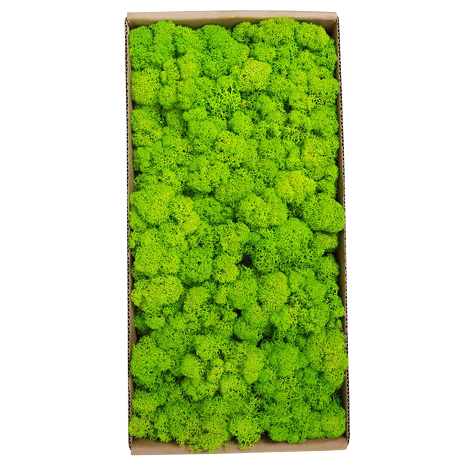 Geconserveerd mos Gardenning Art Wall Decor Moss Bulk Micro Landschap Decoratieve rekwisieten voor voeringmanden die raamdozen bedekt