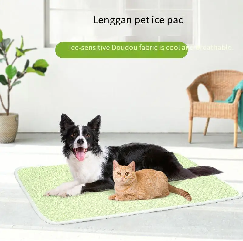 5-ΡΠ°Π·ΠΌΠ΅ΡΠ½ΡΠΉ Π²Π»Π°Π³ΠΎΡΡΠΎΠΉΠΊΠΈΠΉ ΠΌΠ°ΡΡΠ°Ρ ΠΈΠ· Π»Π΅Π΄ΡΠ½ΠΎΠ³ΠΎ ΡΠ΅Π»ΠΊΠ°, ΠΎΡ
Π»Π°ΠΆΠ΄Π°ΡΡΠΈΠΉ ΠΊΠΎΠ²ΡΠΈΠΊ Π΄Π»Ρ Π΄ΠΎΠΌΠ°ΡΠ½ΠΈΡ
ΠΆΠΈΠ²ΠΎΡΠ½ΡΡ
, ΡΠΏΠ°Π»ΡΠ½ΡΠΉ ΠΊΠΎΠ²ΡΠΈΠΊ Π΄Π»Ρ ΡΠΎΠ±Π°ΠΊ ΠΈ ΠΊΠΎΡΠ΅ΠΊ, Π»Π΅ΡΠ½ΡΡ Ρ
ΠΎΠ»ΠΎΠ΄Π½Π°Ρ ΠΊΡΠΎΠ²Π°ΡΡ Π΄Π»Ρ ΠΌΠ°Π»Π΅Π½ΡΠΊΠΈΡ
ΠΆΠΈΠ²ΠΎΡΠ½ΡΡ
5-ΡΠ°Π·ΠΌΠ΅ΡΠ½ΡΠΉ Π²Π»Π°Π³ΠΎΡΡΠΎΠΉΠΊΠΈΠΉ ΠΌΠ°ΡΡΠ°Ρ ΠΈΠ· Π»Π΅Π΄ΡΠ½ΠΎΠ³ΠΎ ΡΠ΅Π»ΠΊΠ°, ΠΎΡ
Π»Π°ΠΆΠ΄Π°ΡΡΠΈΠΉ ΠΊΠΎΠ²ΡΠΈΠΊ Π΄Π»Ρ Π΄ΠΎΠΌΠ°ΡΠ½ΠΈΡ
ΠΆΠΈΠ²ΠΎΡΠ½ΡΡ
, ΡΠΏΠ°Π»ΡΠ½ΡΠΉ ΠΊΠΎΠ²ΡΠΈΠΊ Π΄Π»Ρ ΡΠΎΠ±Π°ΠΊ ΠΈ ΠΊΠΎΡΠ΅ΠΊ, Π»Π΅ΡΠ½ΡΡ Ρ
ΠΎΠ»ΠΎΠ΄Π½Π°Ρ ΠΊΡΠΎΠ²Π°ΡΡ Π΄Π»Ρ ΠΌΠ°Π»Π΅Π½ΡΠΊΠΈΡ
ΠΆΠΈΠ²ΠΎΡΠ½ΡΡ