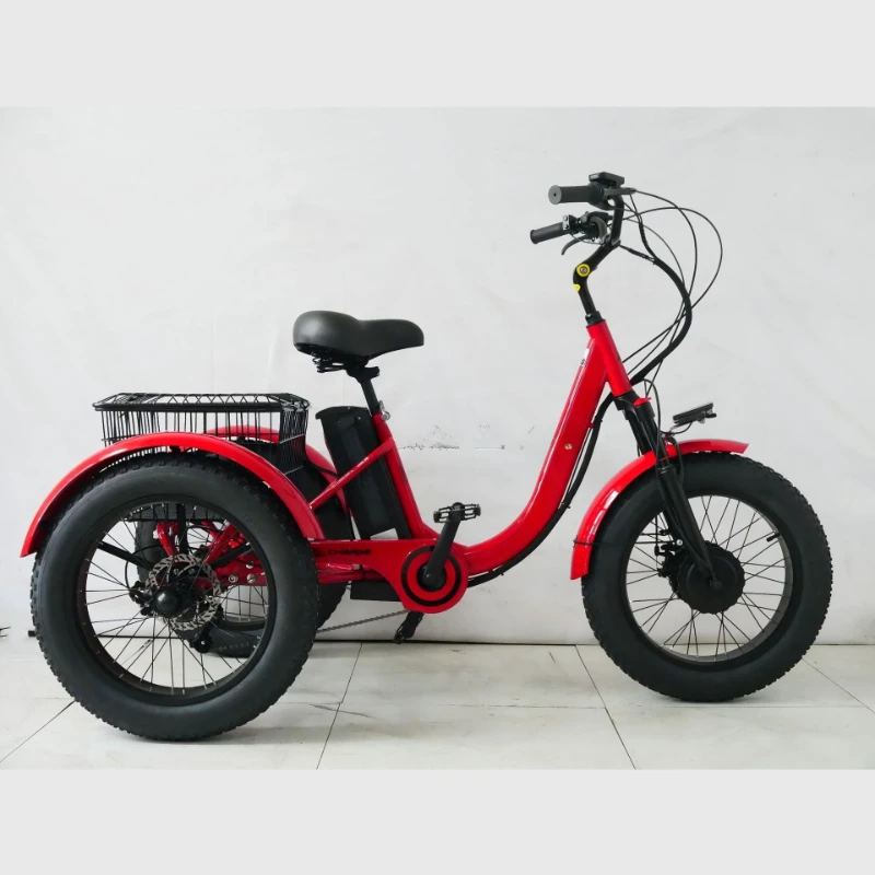 

DZ lithium battery tricycle snow tire electric moped human tricycle