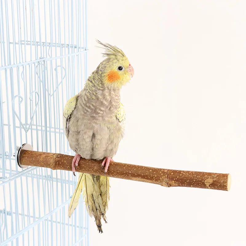 Parrot toys, swing rings, parrot stands, stand poles, parrot ladders, parrot climbing ladders, parrot supplies and tools