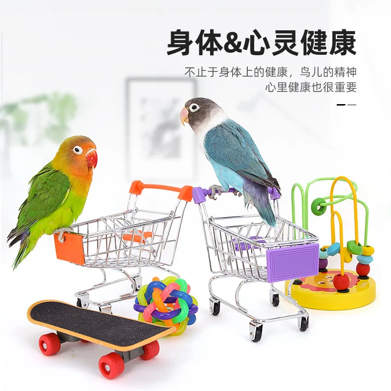 Bird Training Toy Supplies Basketball Stand Lovebird Shopping Cart Bird Toy Shoes Canary Skateboard Parrot Toy Accessories