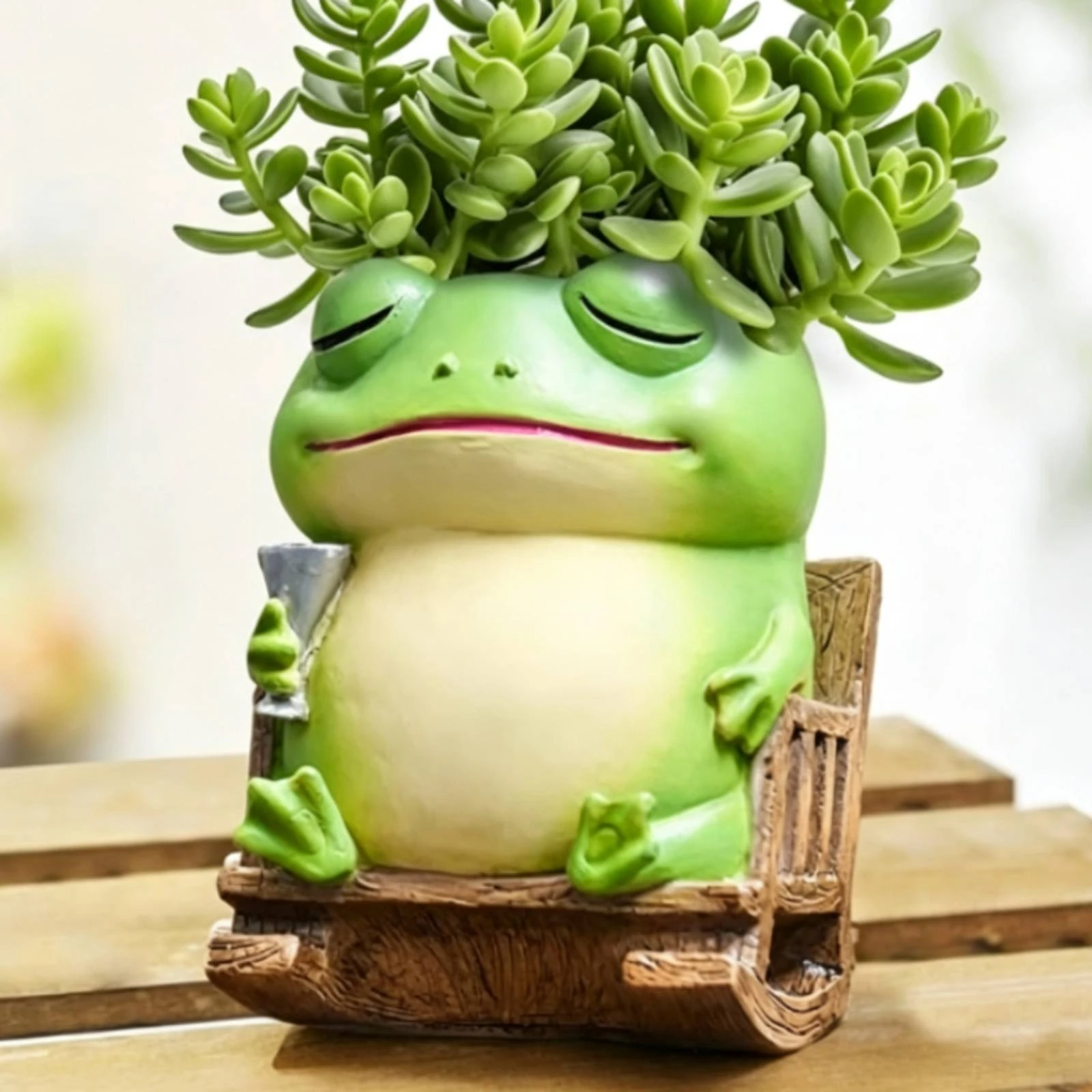 Pot Tanaman Bentuk Katak denga - Succulent Planter Pot ulasan dan harga
