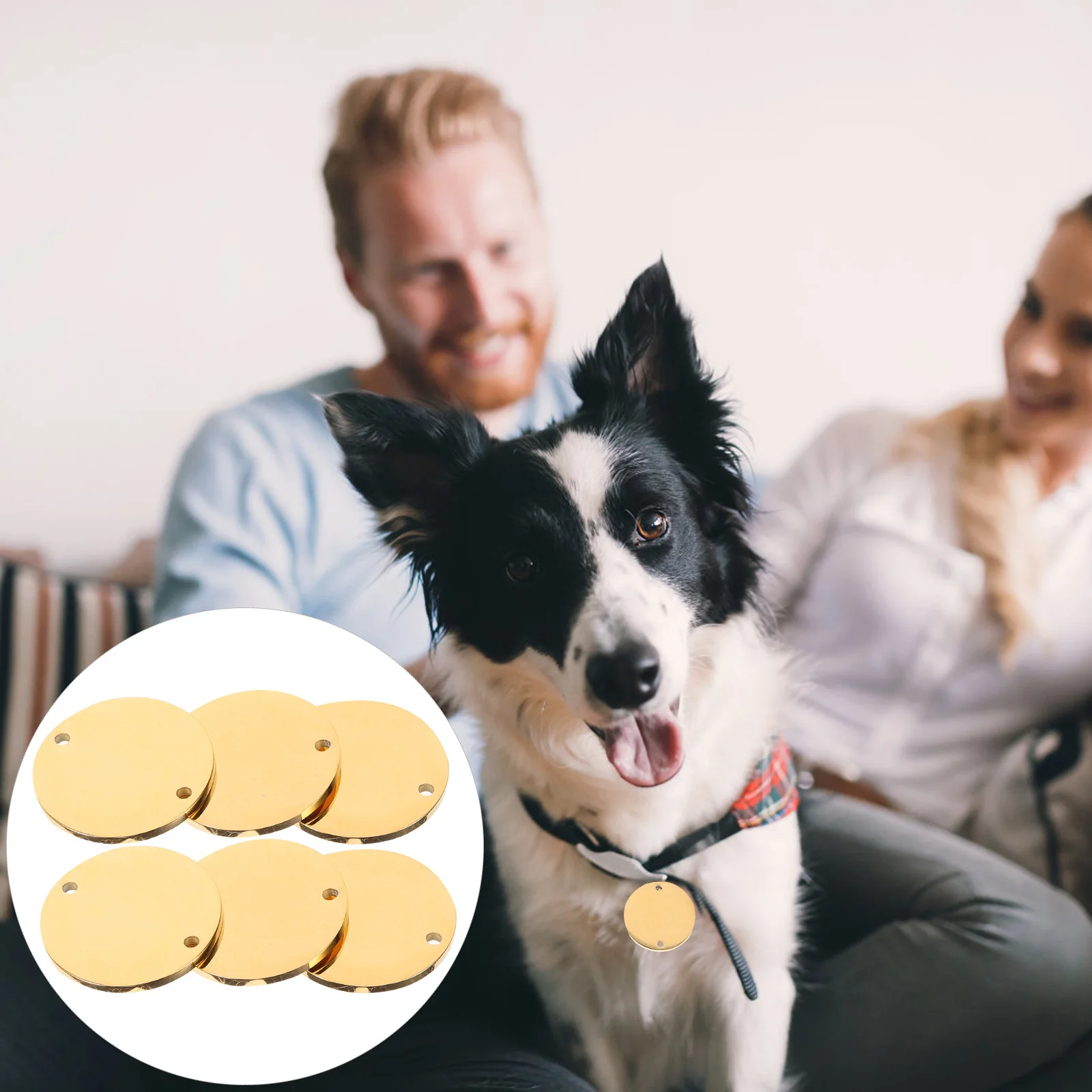 

6Pcs Stainless Steel Blanks Round Dog Tags for Engraving Anti-Lost Pet Id Name Tag DIY Metal Stamping Pendant Jewelry Making