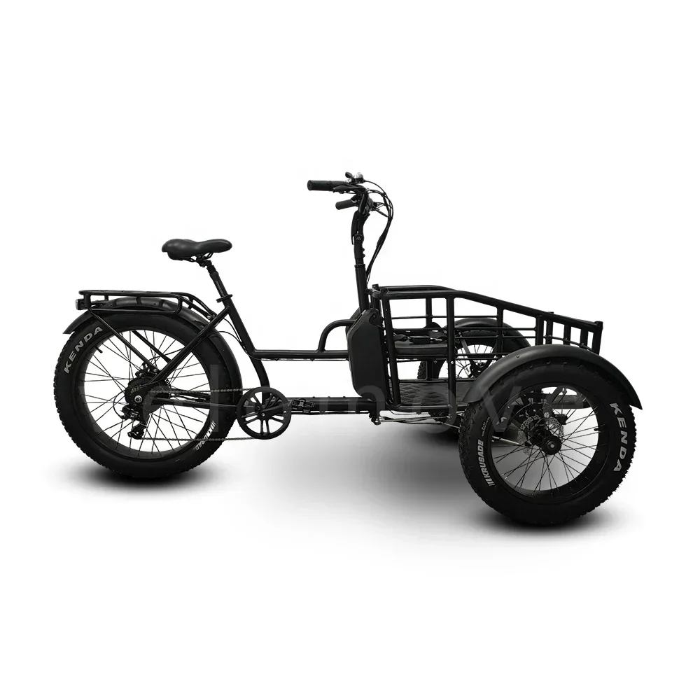 Triciclo Electric Trike 48V 1000W Fat Tire 3 Wheel E Bike Tricycle Three Wheels Adult Cargo Electric Bike With Basket