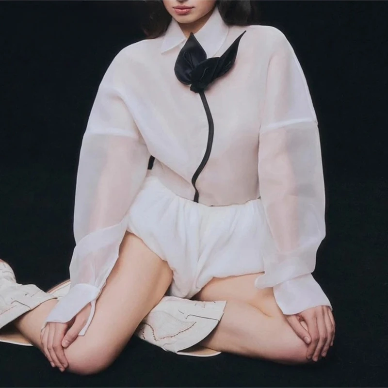 

Hit Color Sheer Spliced Appliques Elegant Blouses for Women Lapel Long Sleeves Minimalist Blouse Female Clothes New