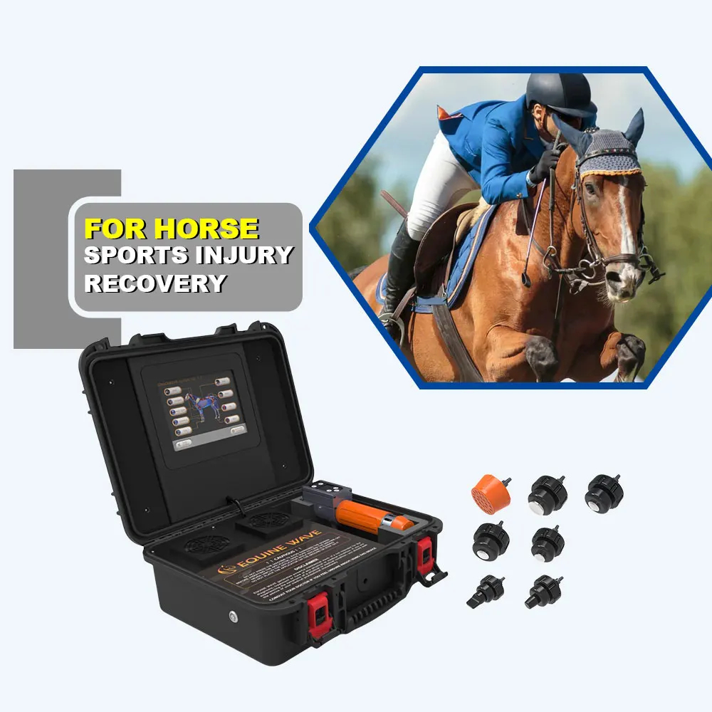 

Portable Animals Veterinaria Shockwave Therapy Machine Extracorporal Shock Wave for Horse Pain Relief Equine Health Care Machine