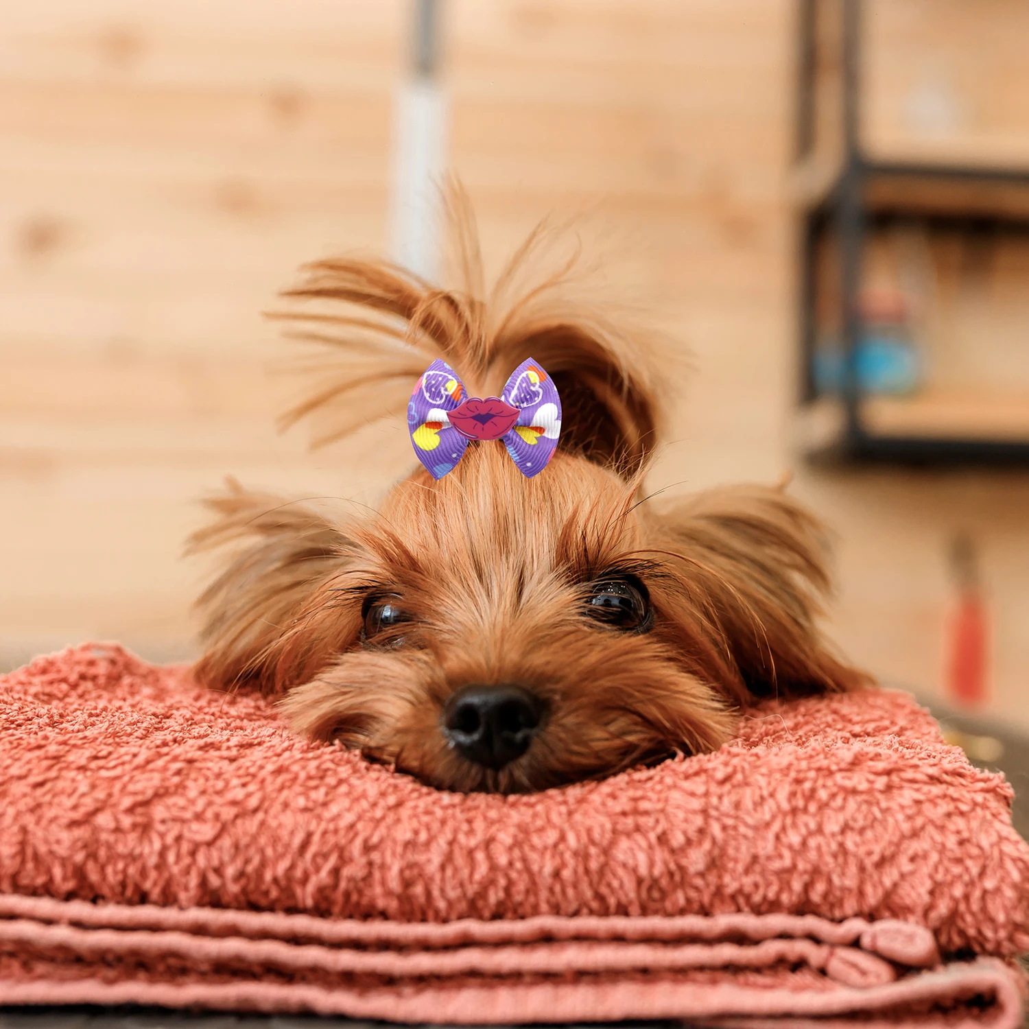 Lazos para el pelo de perro para el Día de San Valentín, bandas de goma para el cuidado del cabello de mascotas, accesorios para el pelo de gatos y