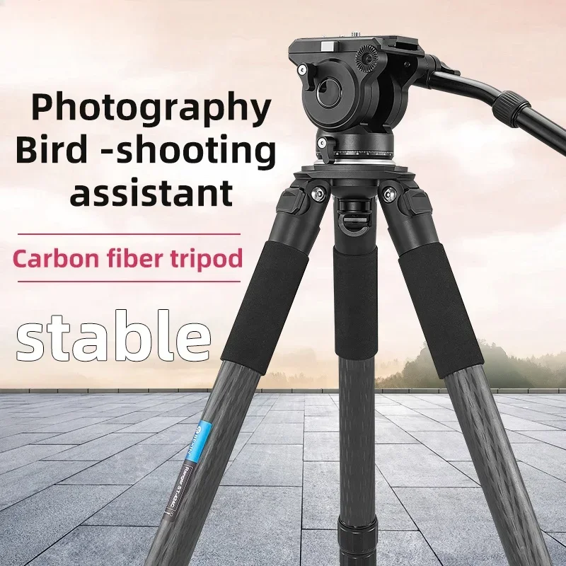 wholesale BEXIN professional Bird Watching stable light weight carbon fiber tall big video  long focus lens tripod stand