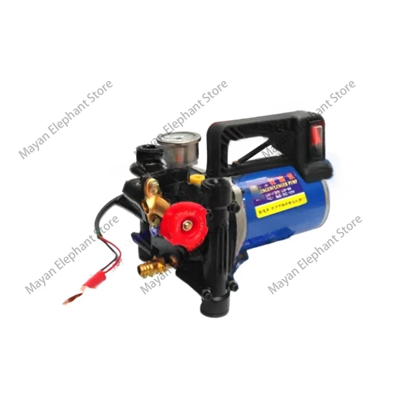 Irrigation Sprayer 12V/24V/60V/72V/220V Plunger Agricultural Sprayer Electric High Pressure Pump Spraying Car Wash