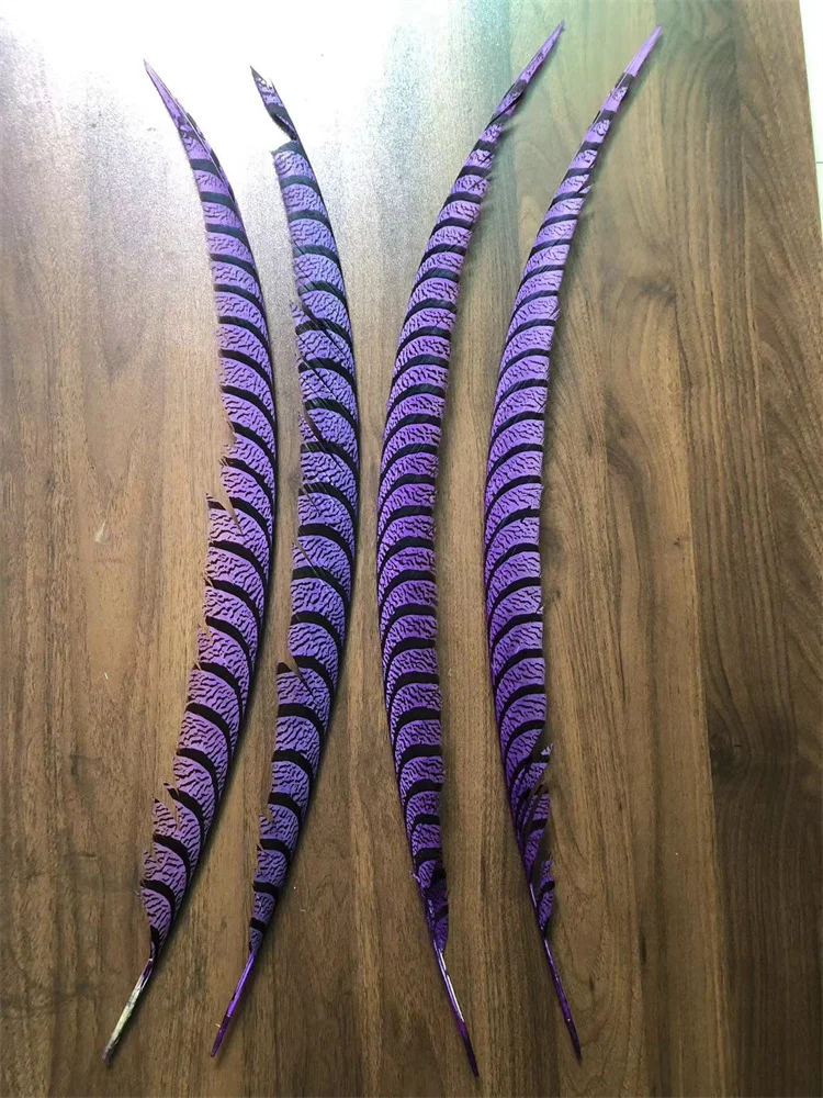 

6PCS Dyed Zebra Pheasant Feather Natural Lady Amherst Pheasant Feathers Wedding Carnival Decoration Plumes DIY Backpieces Pluma