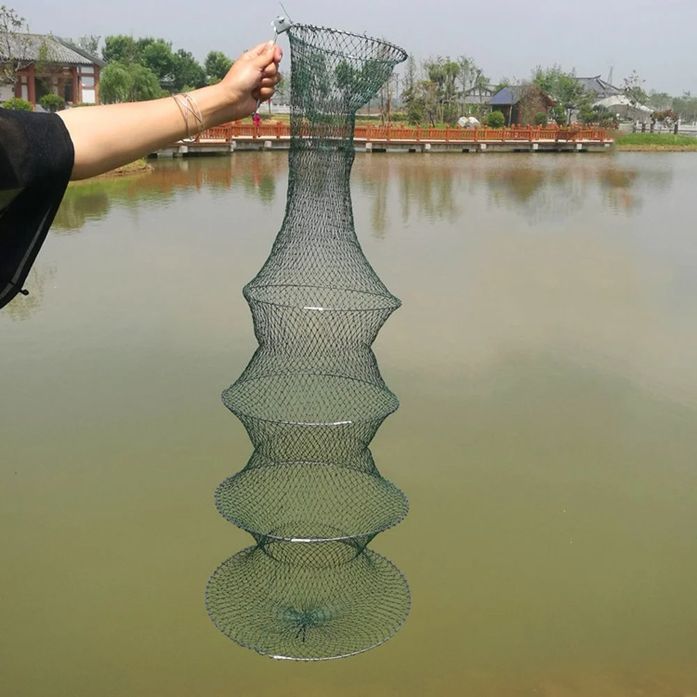 Folding Fishing Basket Shrimp Cage Fish Cage, Bait, Nets Fishing Gear, Low Carbon Steel Pocket, Pesca Dobrável-Cesta Fishing Net