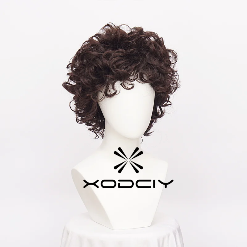 Frodo Baggins Cosplay-Perücke, braun, kurz, lockig, hitzebeständig, Kunsthaar, Rollenspiel-Perücken + Perückenkappe