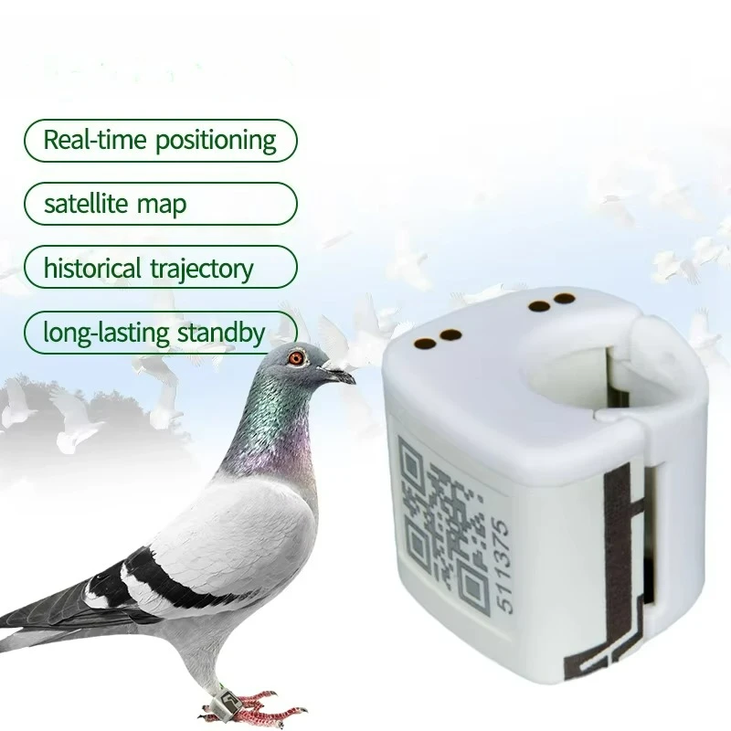 【2026】Real-Time Global Positioning System Pigeon Tracker New Beidou Android Compatible Pigeon Racing Training Tracking Tool