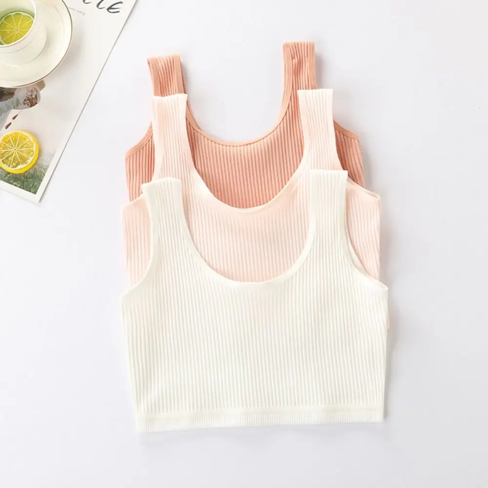 Double Layer Design Growing Girl’s Underwear High Elastic Opaque Color Lingerie for Girls Colorfast Absorb Sweat Vest for Pupils