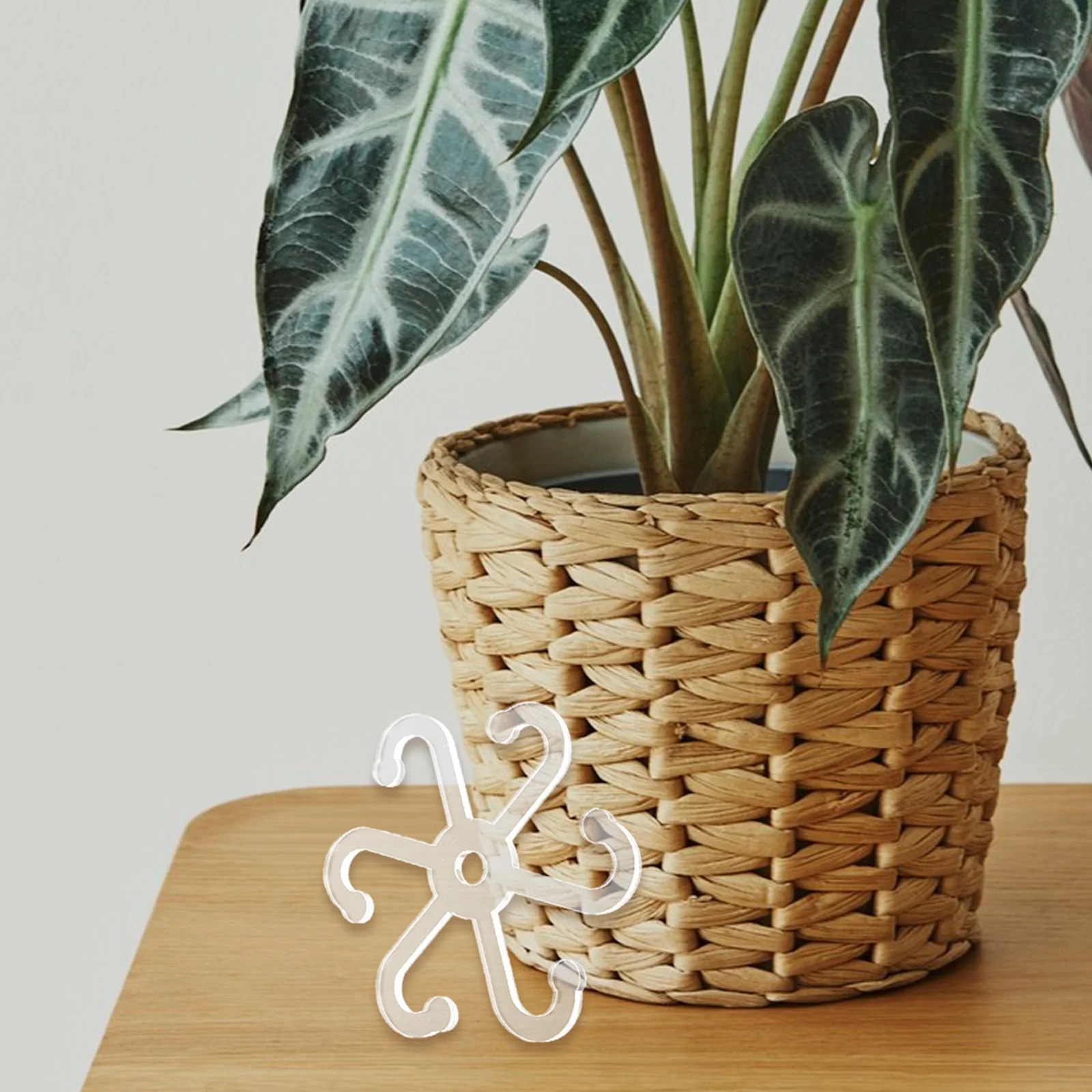 

4Pcs Plant Stem Support Acrylic Holders for Monstera Leaves Indoor Outdoor Growth Stable Climbing Accessories Reusable