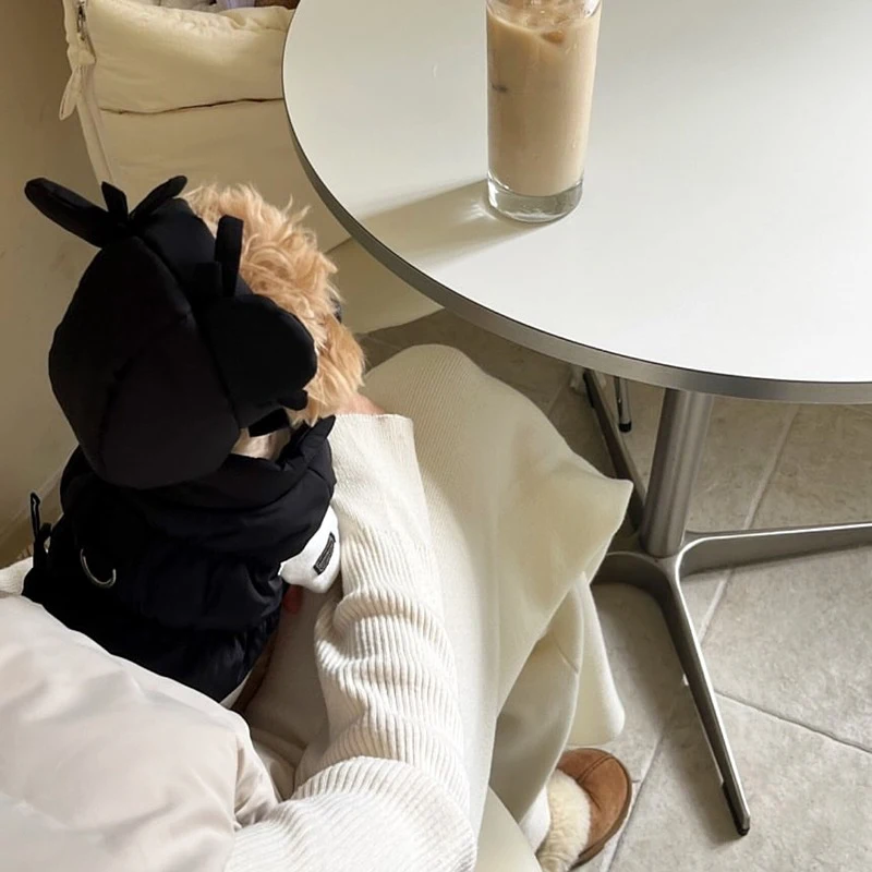 Pet Thickened Cotton-padded Jacket Teddy Bear Pomeranian Poodle Small Dog Bichon Frise Yorkshire Terrier Cat Dog Clothes view 5