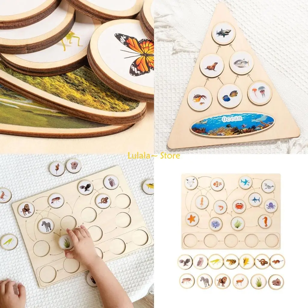 

Y4QA Экологическая пищевая цепочка для детей, обучающая головоломка с лесными животными, пищевой цикл, образовательный реквизит,