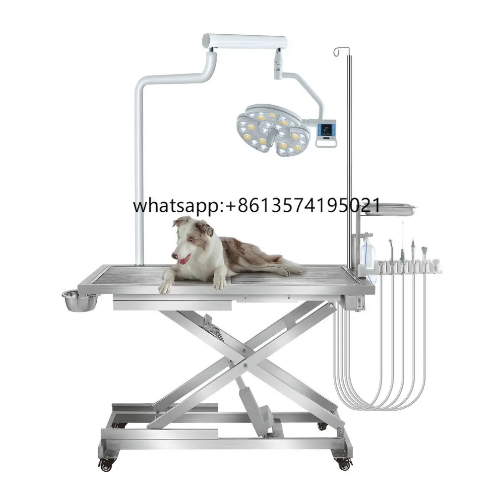 Veterinary Surgical Stainless Steel Pet Dog Examination Table Electric Animal Dissection Surgical Table