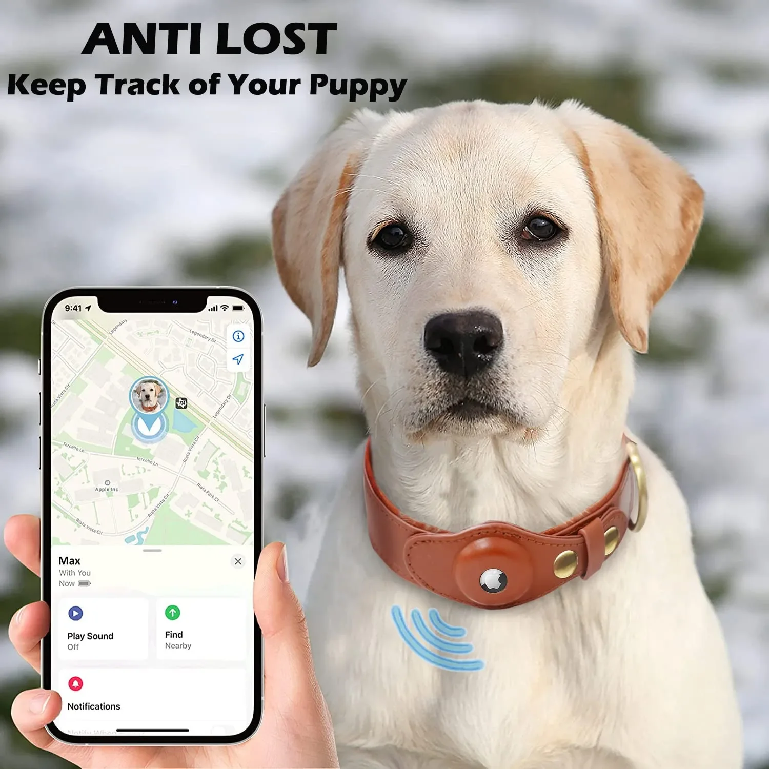 New Removable Locating Pet Collar AirTag Collar Anti-Lost Dog Tracker Protective Case Dog Collar Outdoors Walking Pet Supplies