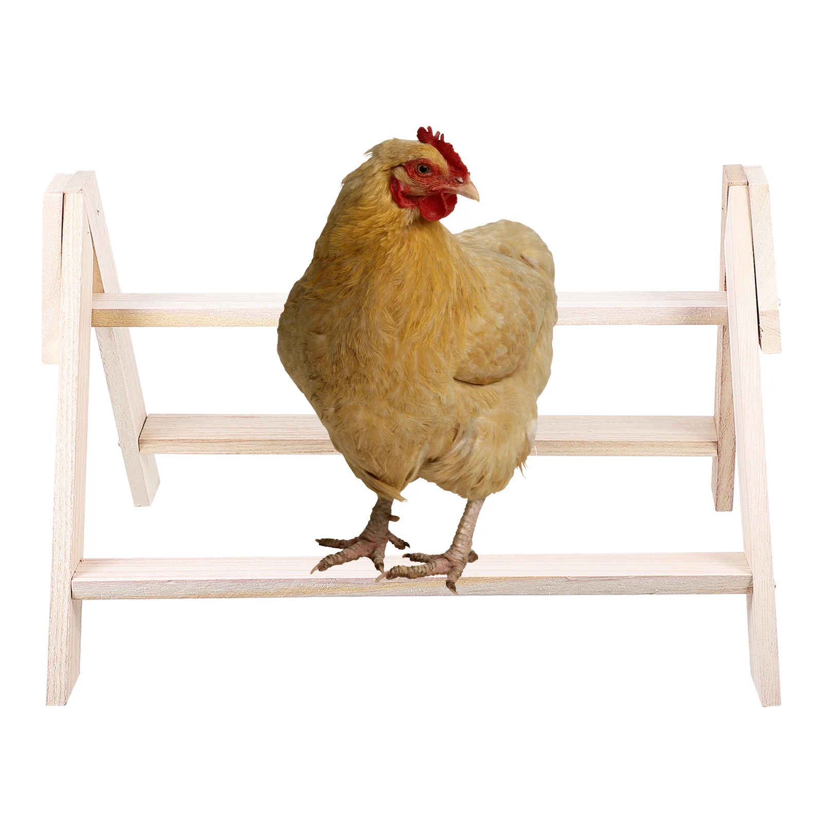 

Chicken Standing Rack Wood Parrot Perch Pet Bird Stand Indoor Outdoor Exercise Fun Chicken Stand Rack Bird Perch