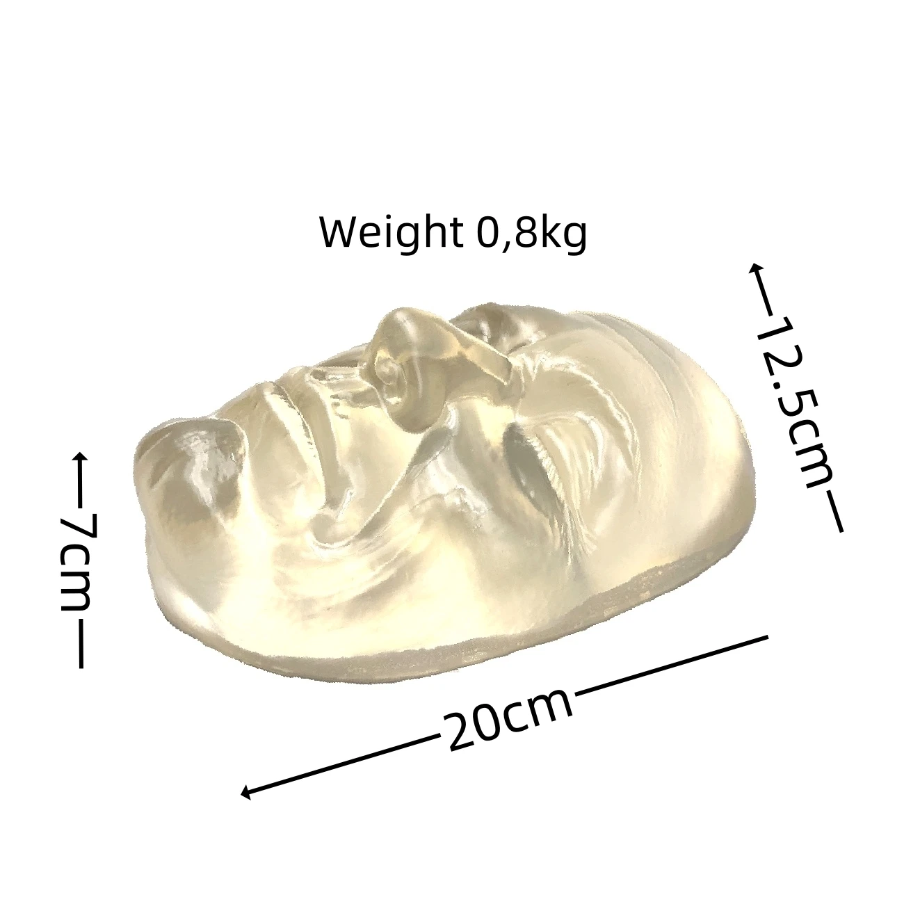 Transparent Silicone Male Injection Mannequin Training Model Applied in Aesthetics Training for Esthetician