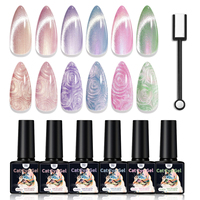 6 Colors Magnetic Cat Eye Gel Nail Polish Set Pink UV LED Soak Off Gel Varnish Crystal Cat Eye Gel Lacquer With Display
