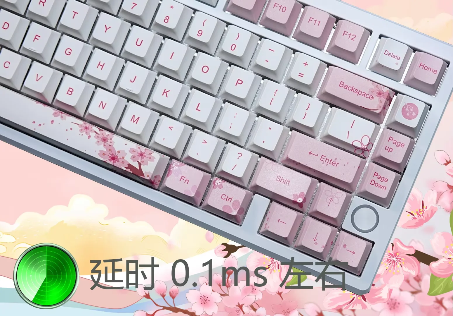 Teclado Gamer Everglide SU75 P - Tablet Accessories Uk reseña y precio
