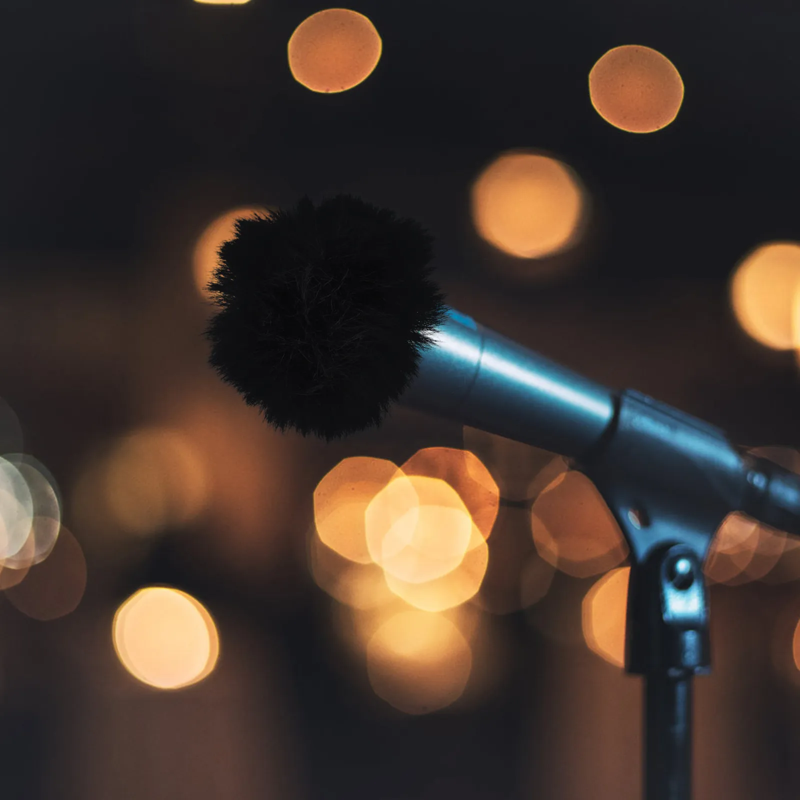 2Pcs Microphone Cover Splash-Proof Windproof Sleeve Protective Accessory for Ktv Singing Dust and Saliva Blocking