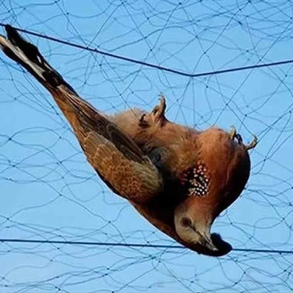 Nuevo Red para pájaros de 6-30m, red de plástico a prueba de aves, trampas para atrapar pájaros, red protectora de nailon, herramienta de Control de plagas
