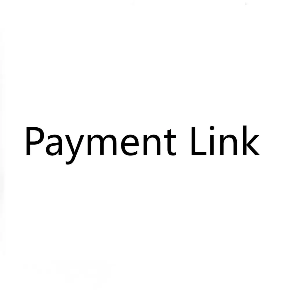 payment link 2