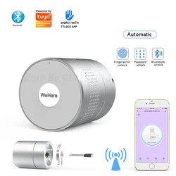 Wehere TUYA Smart Lock M532 Fingerprint Lock Remote Control Support Alexa Wifi Wireless Original Cylinder Cut Key Switch