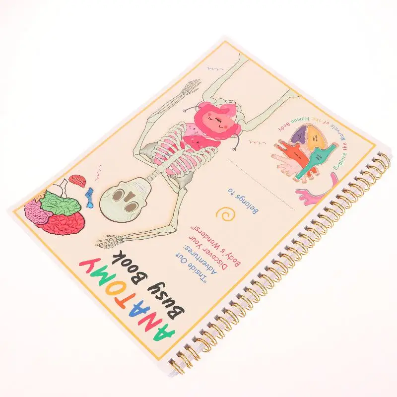 Creative Human Anatomy Busy Book Children's Fun Learning Picture Album With Illustration Learning Planner