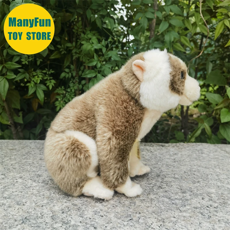 Slow Loris Plüschtier, lebensechtes Loris Stofftier, realistischer Nycticebus, Plüschtier, Affe, Simulationspuppe, Geschenk, Sammler