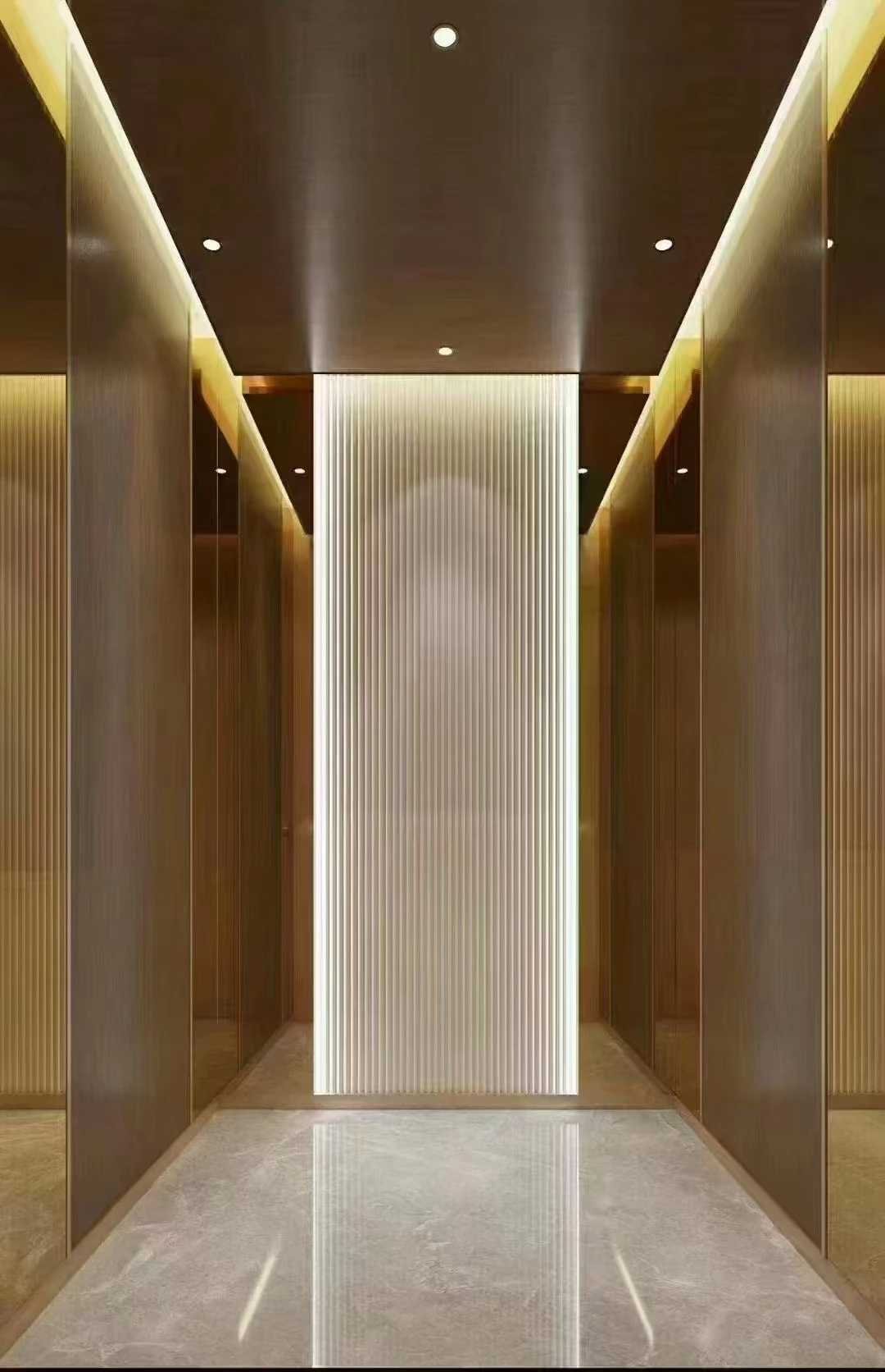 450KG Home Elevator for 2-6 People | Safe & Secure Design | Best Price Guarantee