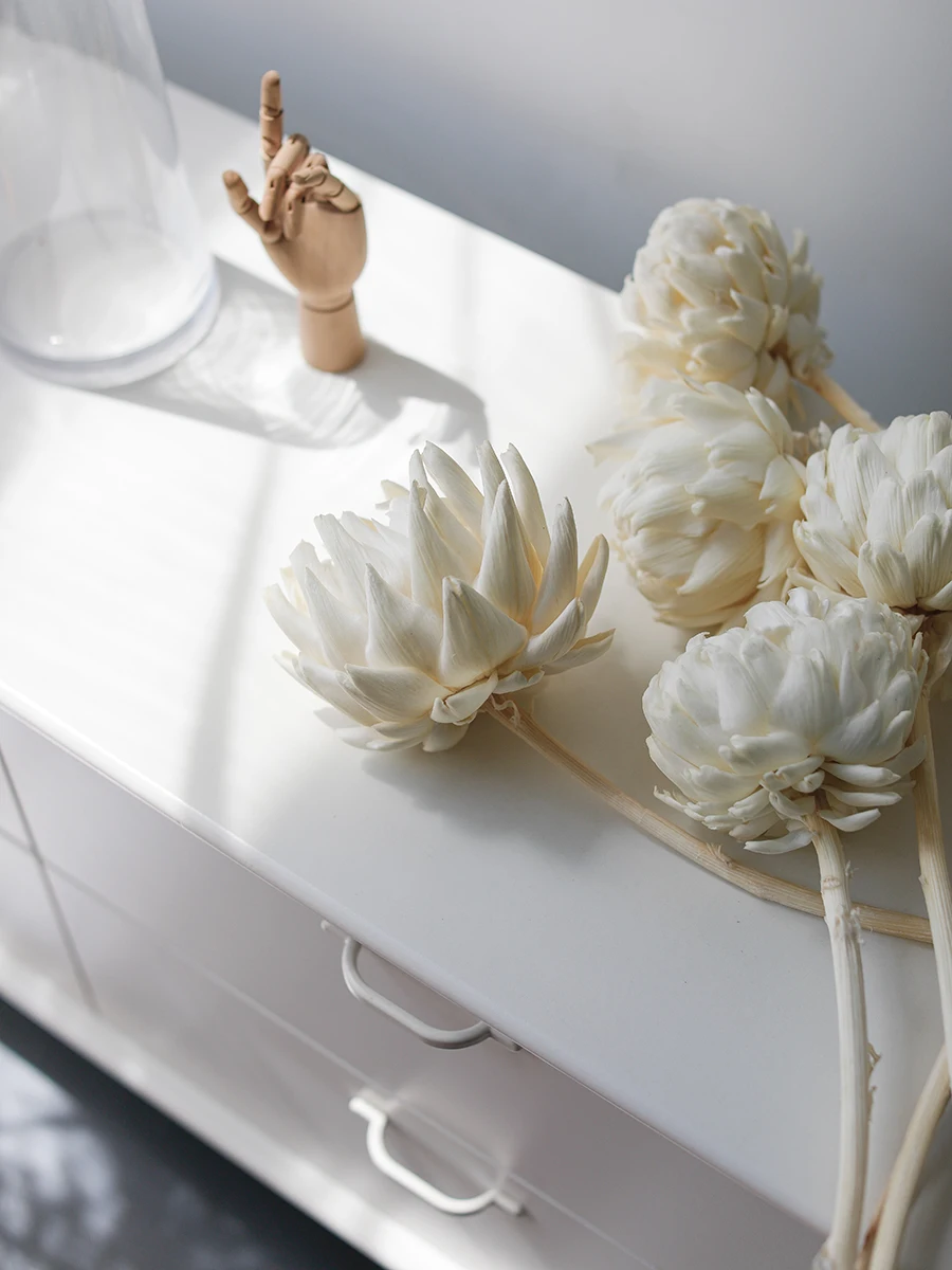 Fleurs blanches séchées Shakyamuni, fleurs éternelles haut de gamme, vraies fleurs florales de mariage, décorations de la maison et du salon