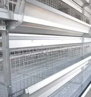 Broiler Chicken Raising System 'H' Typ Cage für Geflügelfarmausrüstung
