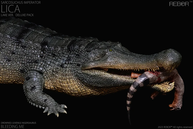 مستنقع Deinosuchus غرقت نموذج الديناصور الأباشيروس ، الإمبالاشيوساصور الإمبراطوري ، في الأوراق المالية ، ريال 1:35 ، 45 سنتيمتر ، حزمة فاخرة