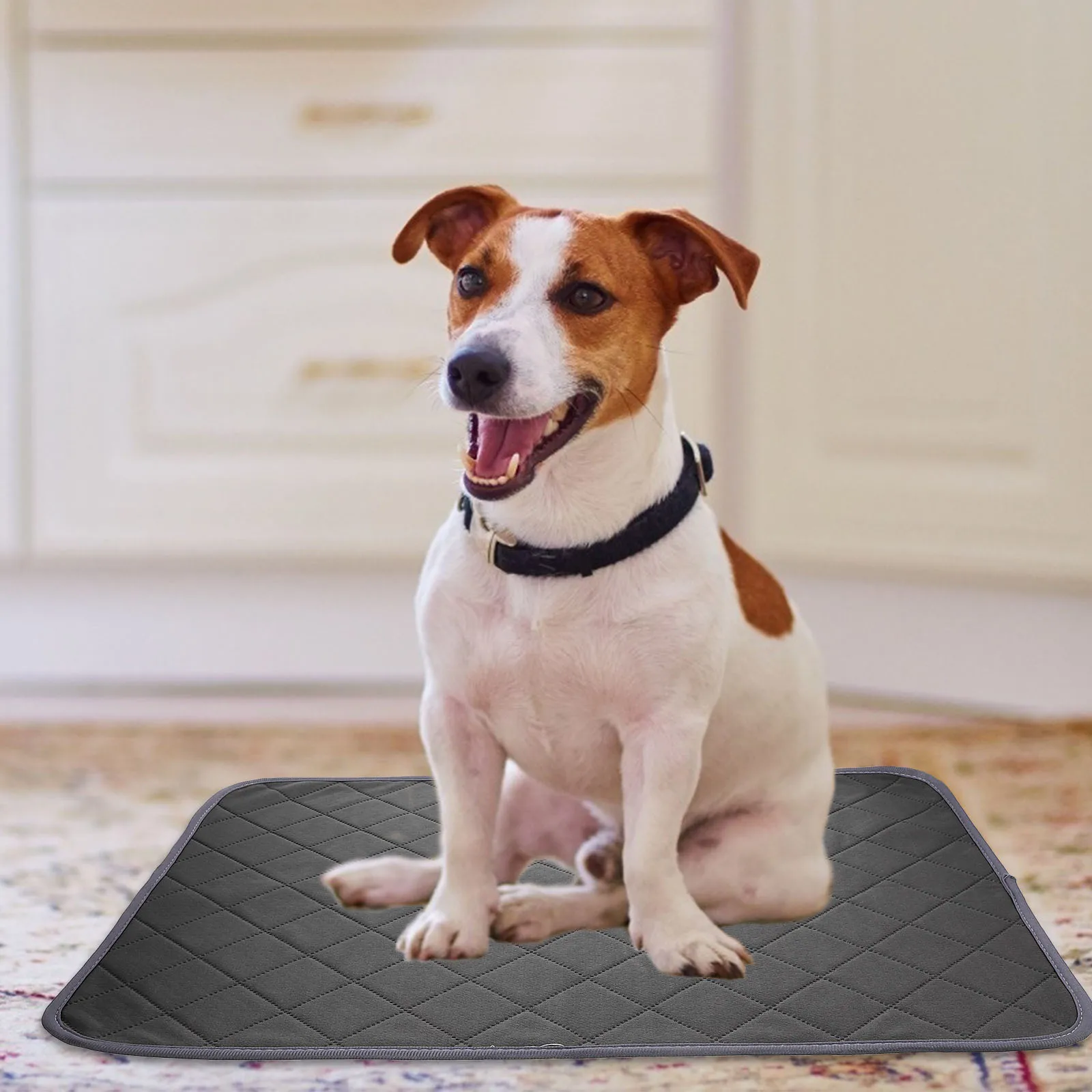 

Waterproof Pet Training Pad Super Absorbent Reusable Dog Pee Pad Dust Free Ideal for Training Sleep Pee Pads for Dogs