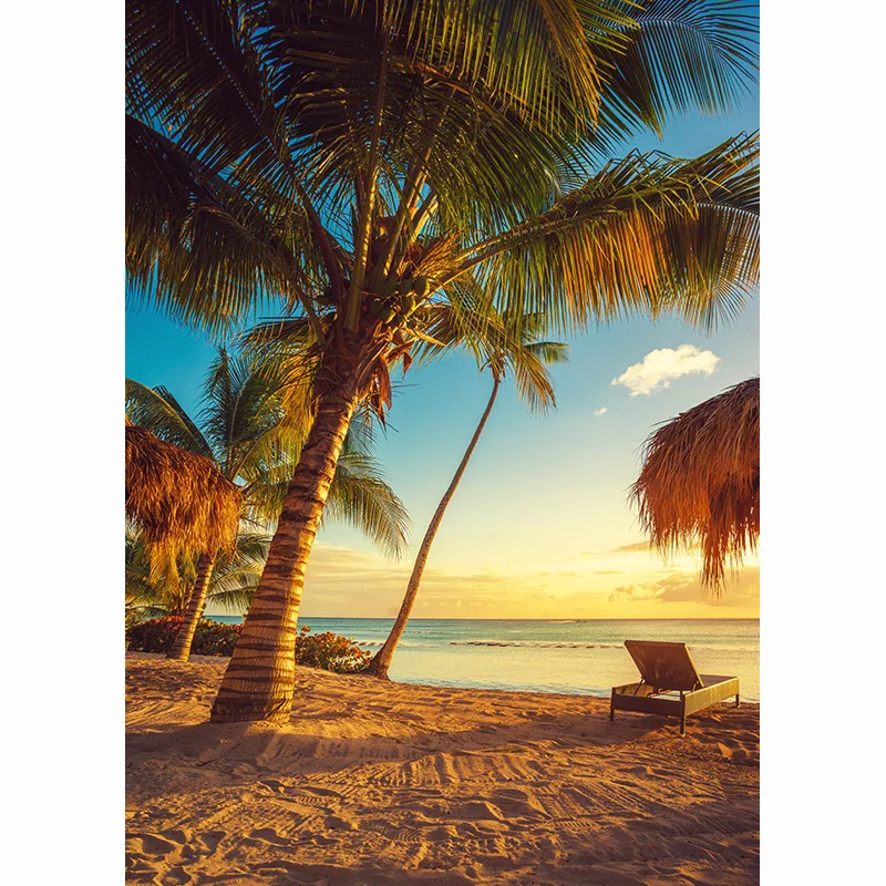 Sandy Beach Holiday Summer Photography Backdrop Prop Coconut Tree Landscape Window Photo Studio Background JK-20