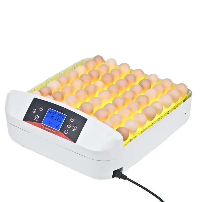 

50 Eggs Incubator EW-56S Egg Tray Plastic Incubator with Tester for Resale