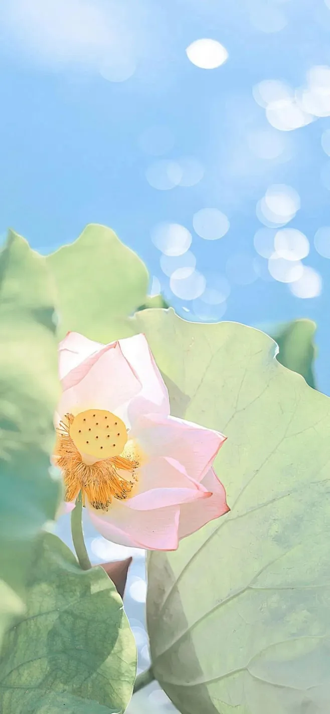 

Rear lower arm for Wltoys 244016 LOSI Micro-B 1/24 RC Car Metal Upgrade OP Accessories Parts