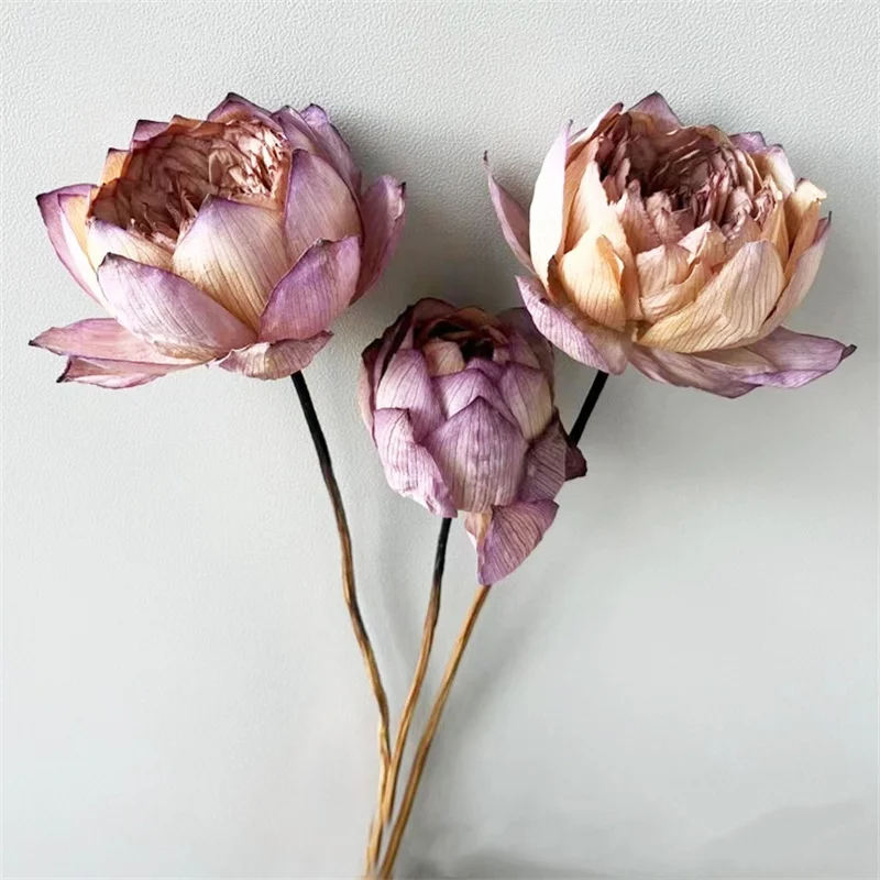 Dried Flowers Natural Lotus Flower Real Plants for Home Party Decorative Dried Lotus Flower Bouquet DIY  Birthday Wedding Decor