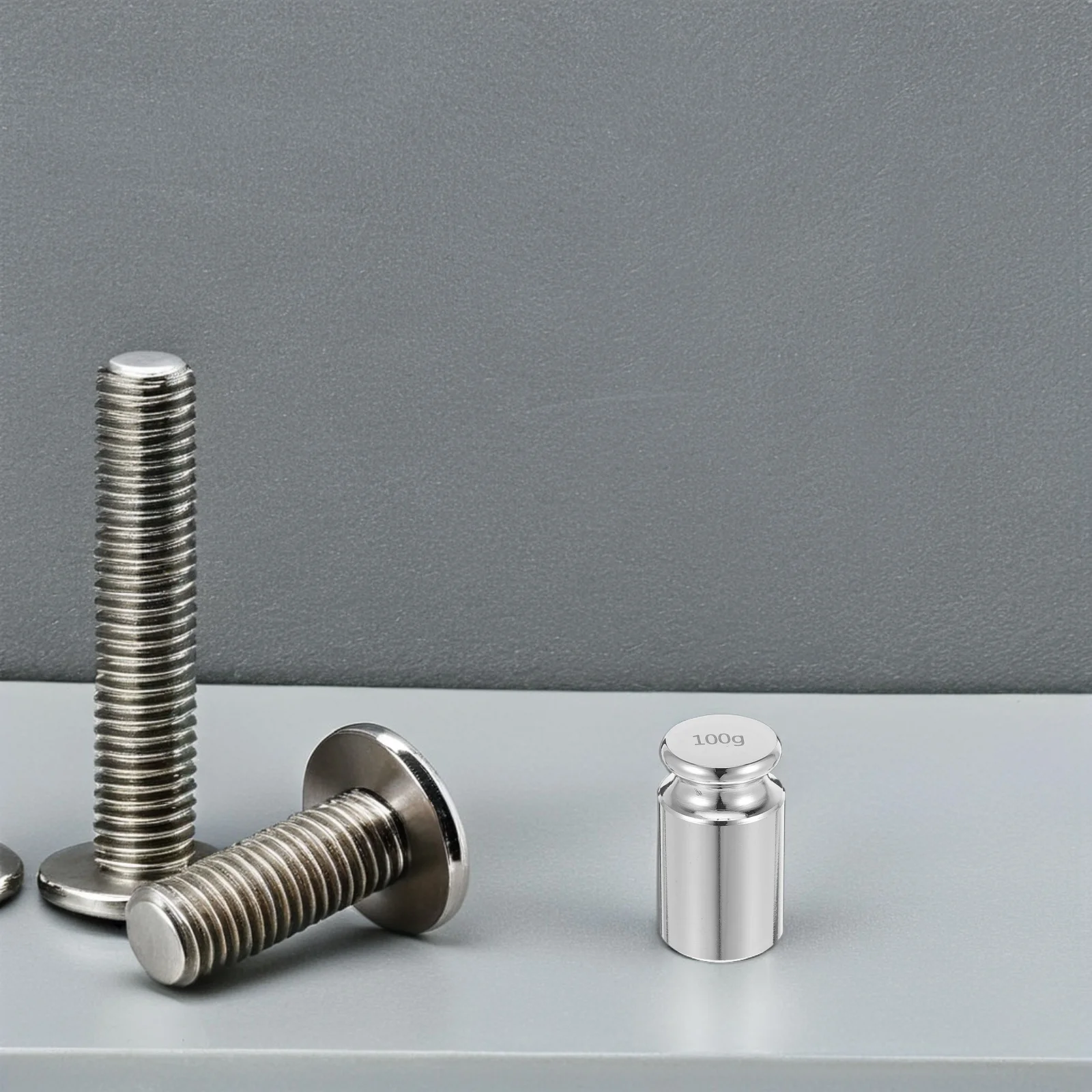 

4 Pcs Weight Calibration Weights General Science Equipment Laboratory Work Metric Steel Balance Physics
